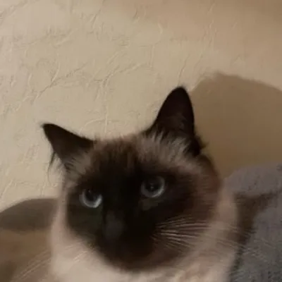 Mike