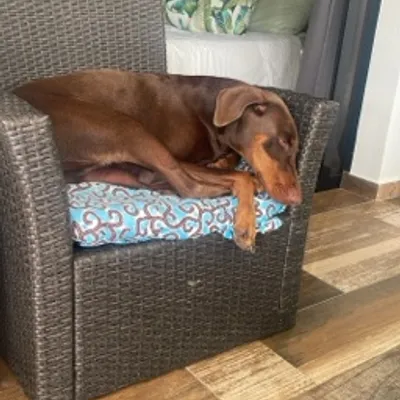 Vero