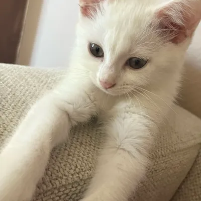 Marie