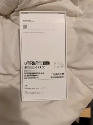 iPhone 17 Pro Max 256Go