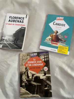 📚 Lot de 3 livres en excellent état – Idéal pour le lycée / Bac 📚
