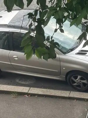 Peugeot 206 2002