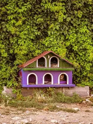 Abri de chat - Miniature 3