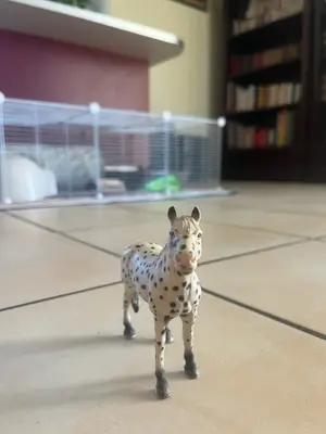 Cheval Appaloosa Schleich - Miniature 2