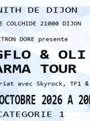3 places côte à côte pour Bigflo et Oli, Karma Tour à Dijon le 8 octobre 2026