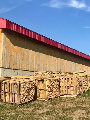 Bois de chauffage sec en chêne, hêtre et frêne, plusieurs longueurs