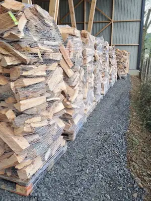 Bois de chauffage en stères, bûches de 25 cm et palettes de 33 cm - Miniature 3