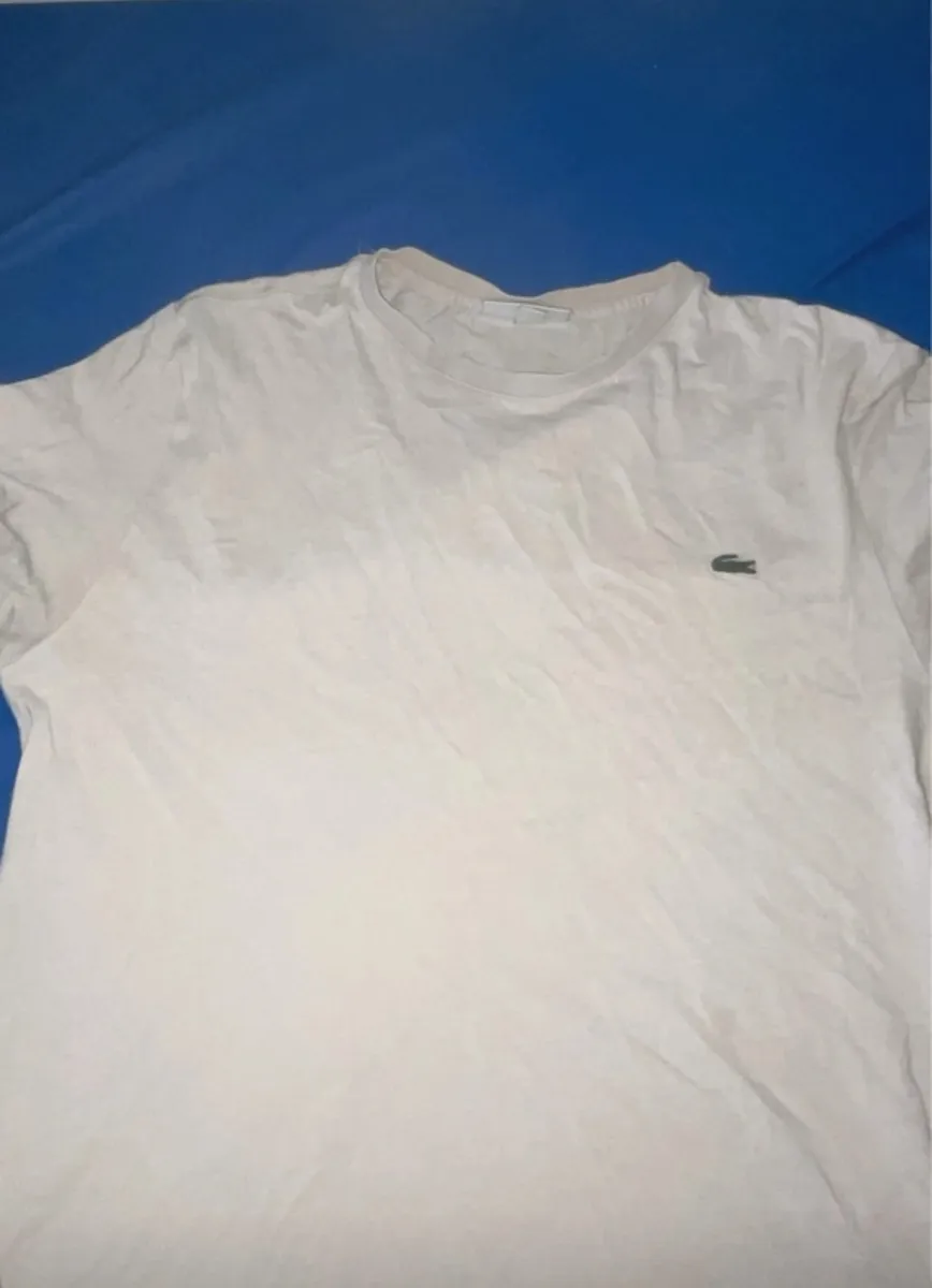 Tee-shirt Lacoste homme rose clair taille S - Photo 1
