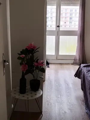 Chambre à louer, une seconde chambre de 16 m² également disponible - Miniature 4