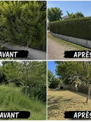 Jardinier : entretien d'espaces verts, taille de haie, tonte et débroussaillage