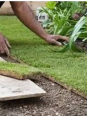 Services de jardinage et entretien des espaces verts - devis gratuit