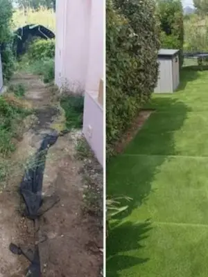 Entretien de jardins et espaces verts, devis et déplacement gratuits