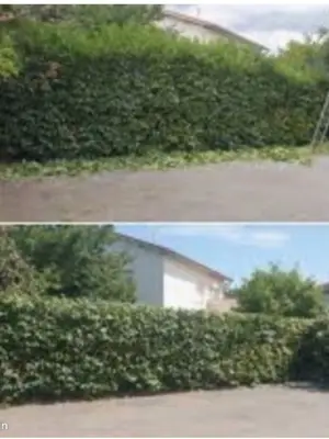 Jardinier - Entretien espaces verts et débroussaillage