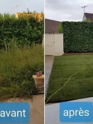Jardinier pour entretien d'espaces verts, taille de haie et débroussaillage