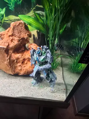 Aquarium Eheim 450 L avec rampe LED, pompe externe et équipement récent - Miniature 2
