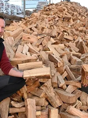 Bois de chauffage en bois dur, plusieurs longueurs disponibles
