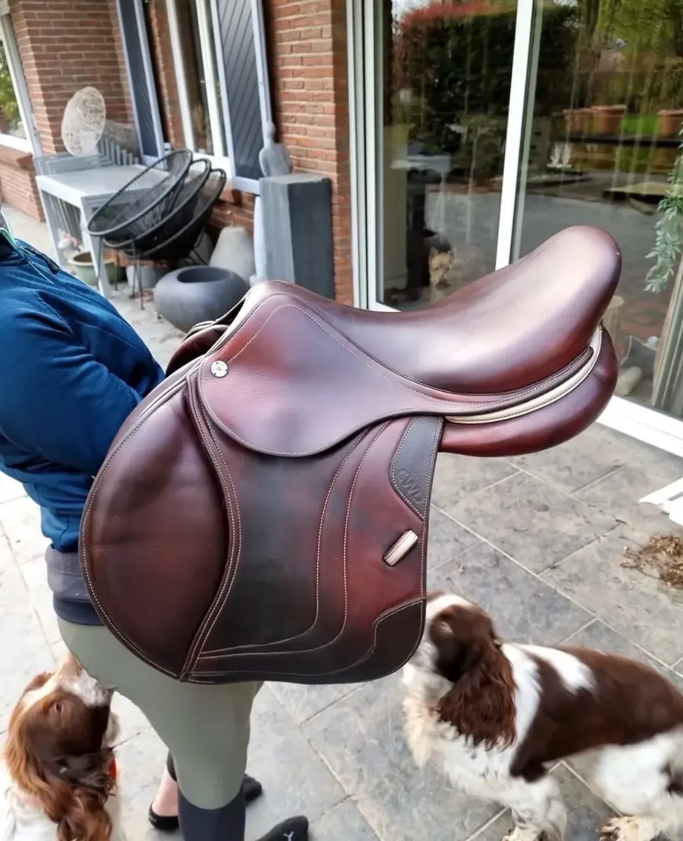 Selle CWD Classic 2019 17 pouces semi-creux marron avec protège-selle - Photo 1