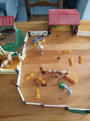 Centre équestre Playmobil complet en très bon état