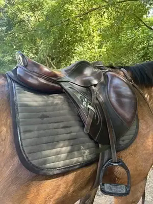 Selles western / trail premium pour débutants et balades