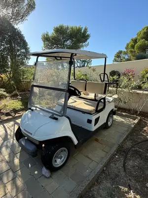 Voiturette de golf électrique 2 places