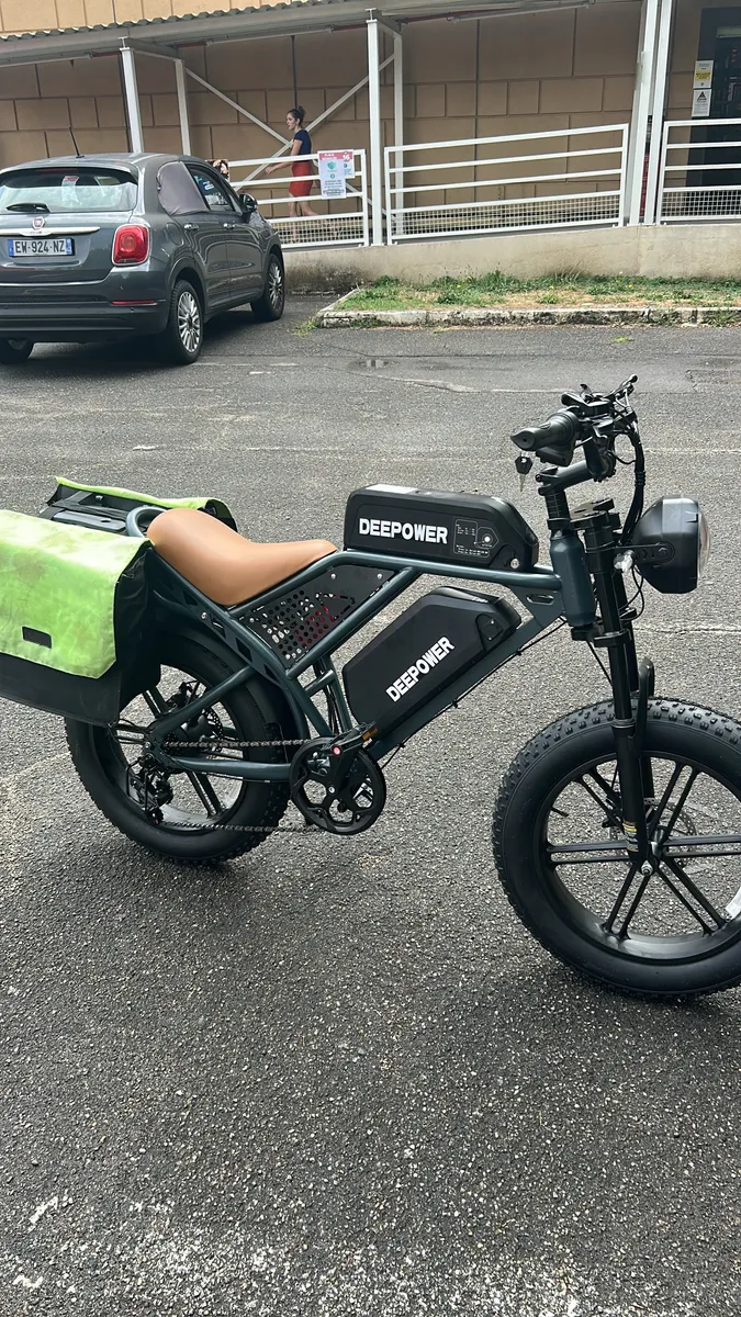 Vélo électrique Deepower QS7 double batterie, 25 km/h, visible sur Lyon - Photo 1