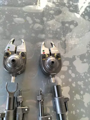 Canne à pêche carpe