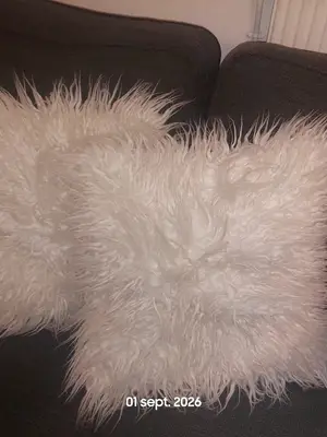 2 coussins - 5€ - Miniature 2