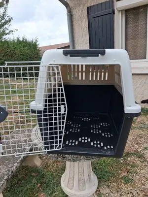 Panier de transport pour chien Atlas 50, jamais utilisé - Miniature 2