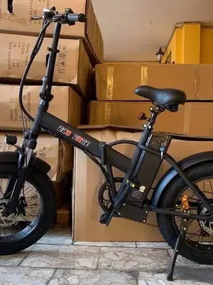 Vélo électrique puissant et efficace - Prix imbattable