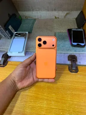 17 pro max orange 