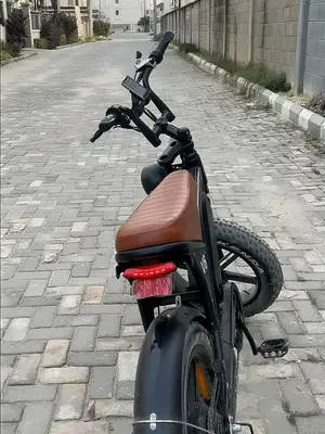 OUXI V8 Fat Bike Électrique 750W Bobber Vintage