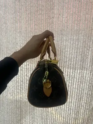 Sac LV authentique