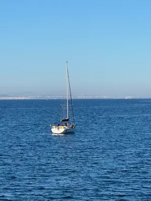 Bateau à voile - Occasion
