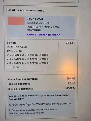 4 billets concert Céline Dion ce soir