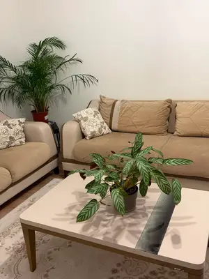 Canapé 6 places İstikbal avec commode assortie en bon état