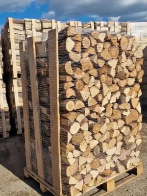 Bois de chauffage sec en bûches de 33 cm — 95 € le stère - Miniature 4