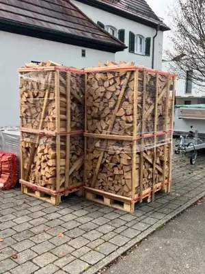 Bois de chauffage sec en bûches de 33 cm — 95 € le stère - Miniature 5