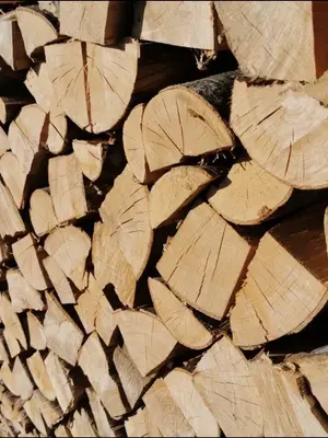 Bois de chauffage sec en bûches de 33 cm — 95 € le stère