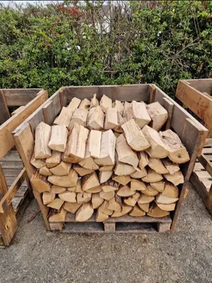 Bois de chauffage sec en bûches de 33 cm — 95 € le stère - Miniature 3