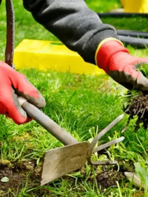 Travaux de jardinage ou services de déménagement