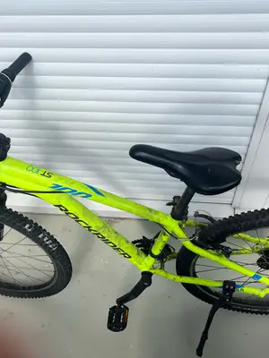 Vélo ST 100 - 80€ - Freins et vitesses OK