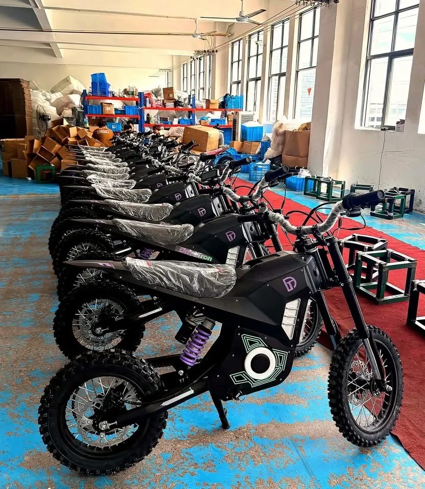 Moto électrique SURRON Light Bee - Neuf et occasion - Photo 1