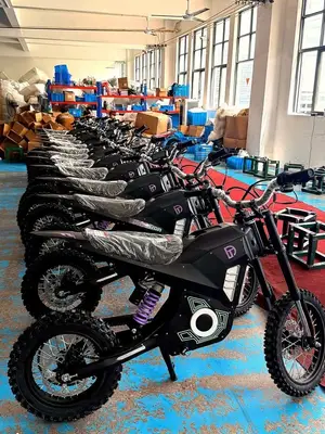 Moto électrique SURRON Light Bee - Neuf et occasion