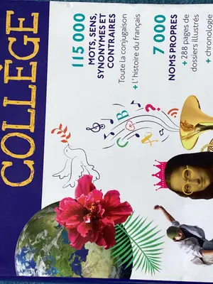 Dictionnaire Le Robert Collège 6e-3e