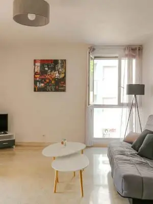 Location T2 meublé sur 69008 Lyon de 41m² - Miniature 5