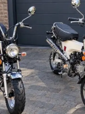 Dax 50cc Zhenhua Neuf - Garantie 2 ans