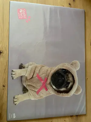 Sous-main chien