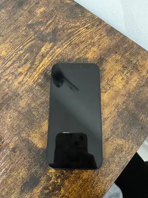 iPhone 12 mini 