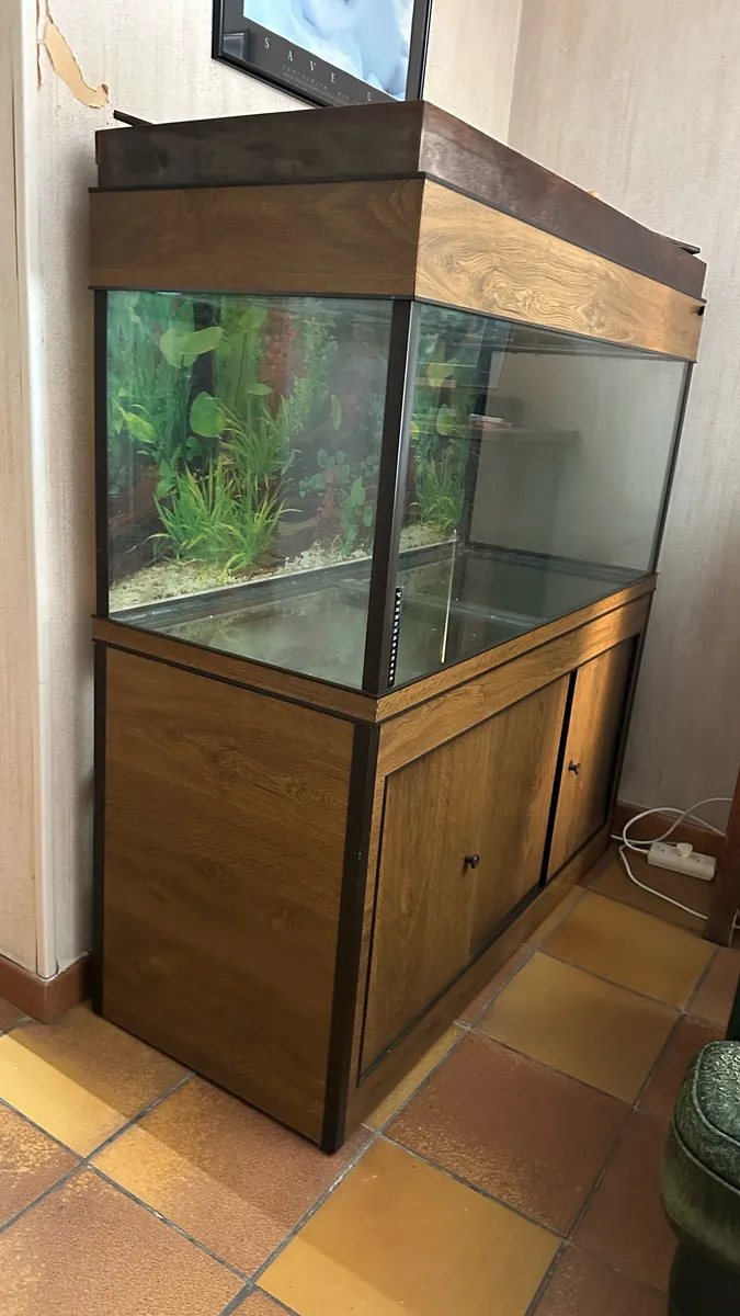 Aquarium 300L sur meuble - Cuve complète - Photo 1