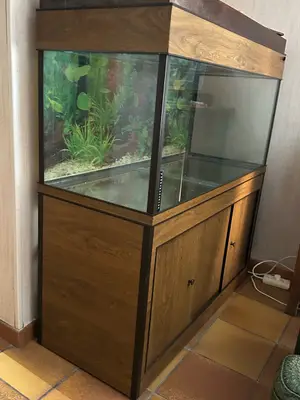 Aquarium 300L sur meuble - Cuve complète